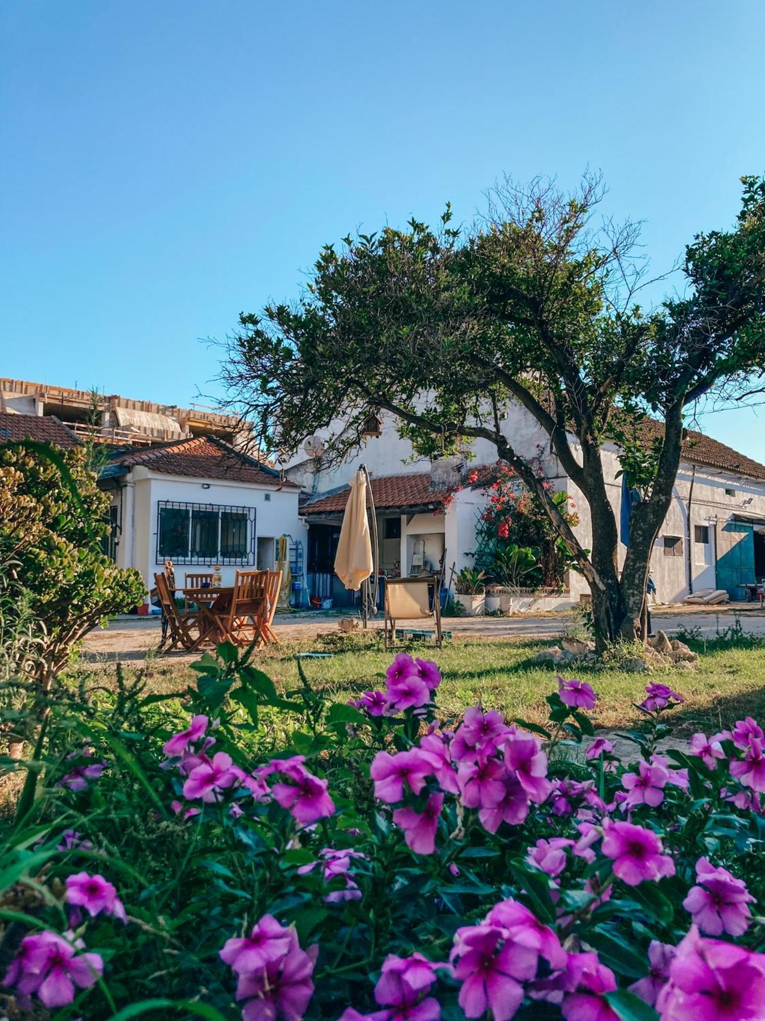 Garden - With Garden View * Montijo